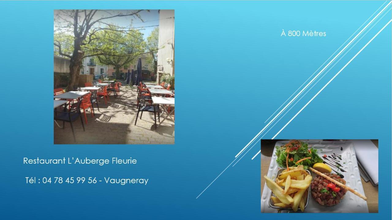Bel Appartement T2 40 M² Vaugneray Εξωτερικό φωτογραφία
